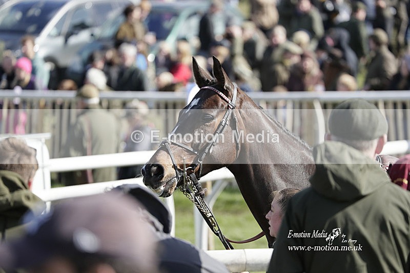 PtP 100423 826 - Old Berkshire Point-to-Point Lockinge 10/04/23