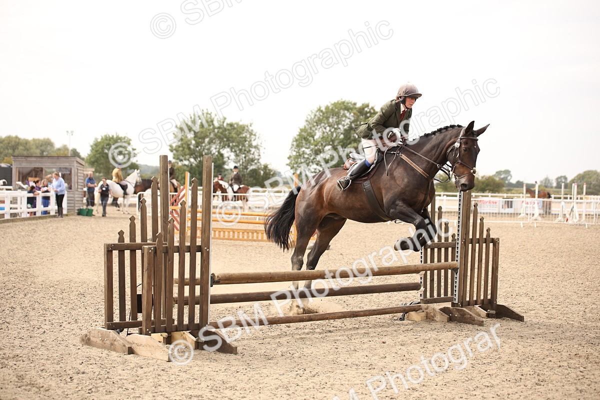 SBM_17094 - Class 409b - Working Veteran 80cm (20+)