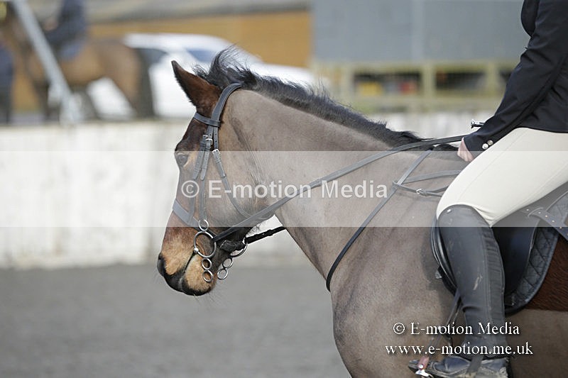 BVRC 050320 0016 - Bourne Valley riding Club Show Jumping Tidworth 08/03/20