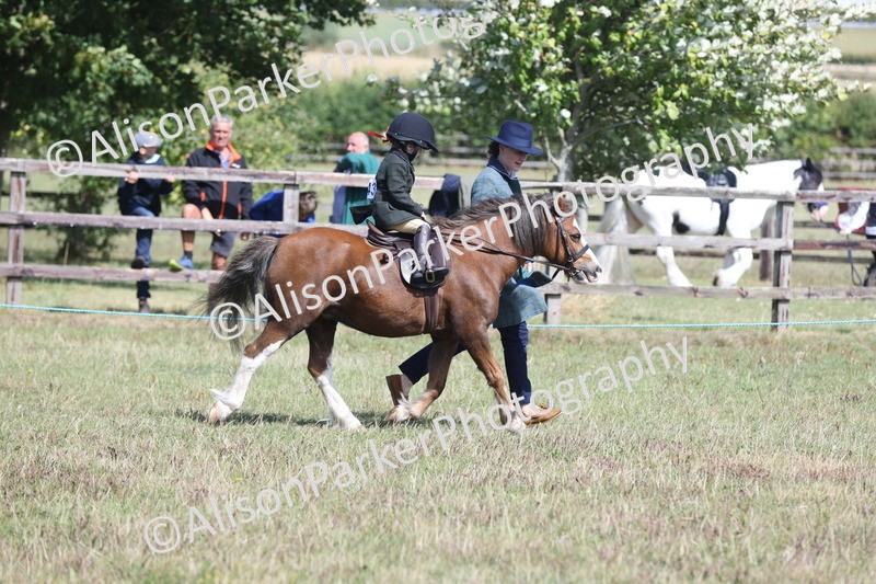 20250831-2616 - Class 17 - Lead Rein Pony