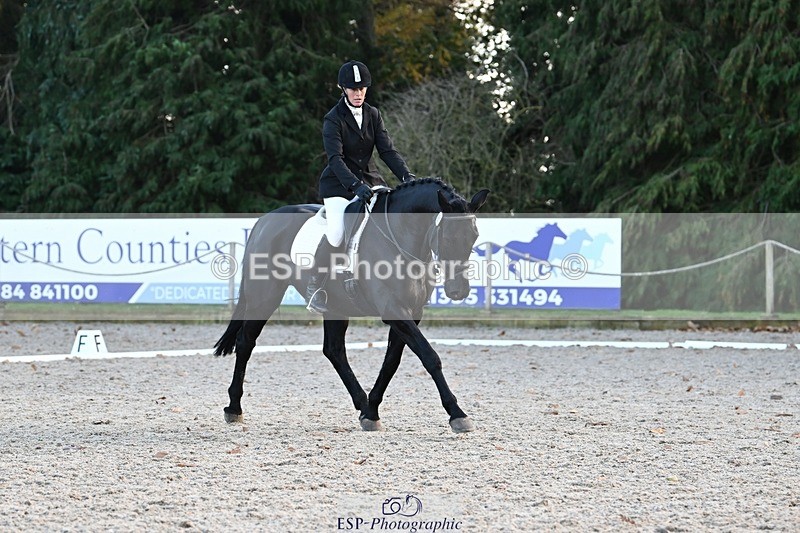 231110-134949-01073 - Cls 4 Novice 39Q