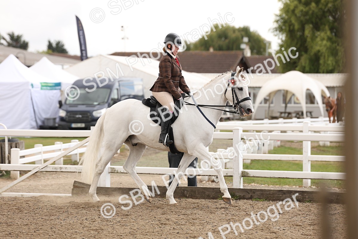 SBM_02929 - Class 53 - Ridden Competition Horse/Pony