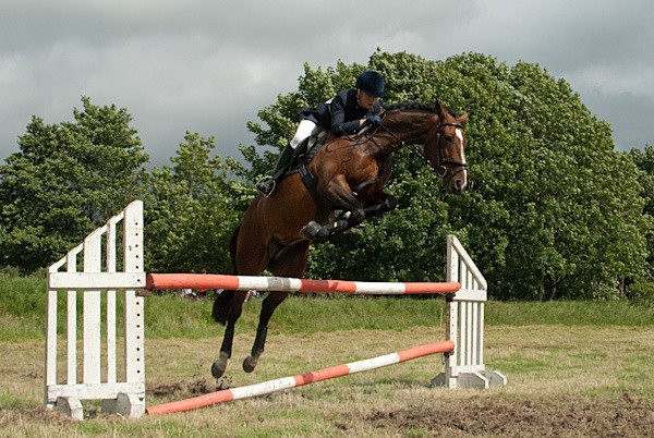 20 - Moniaive Horse Show 2010