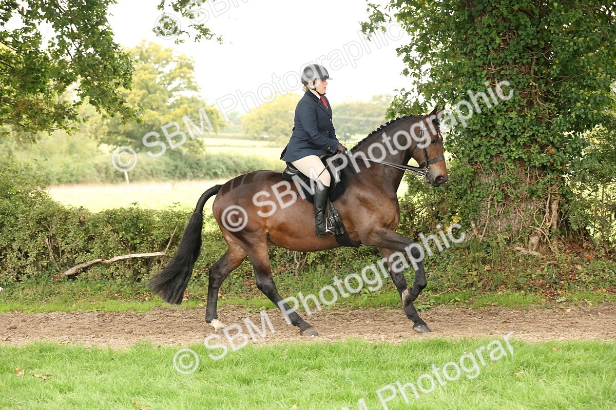 SBM_63008 - S64 - Foreign Breeds Ridden