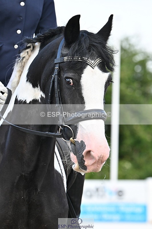 240623A-093540-15757 - Cls 44 BD Prelim 15