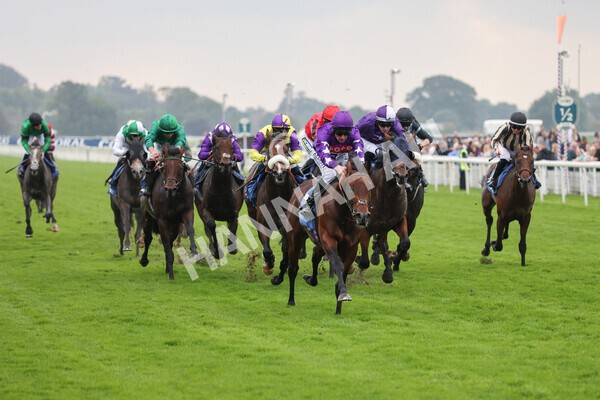 yr09102021r1-37 - Race 1 1.30pm Watch Racing Free Online At Coral Nursery Handicap