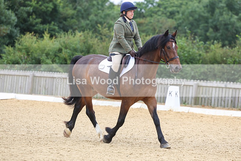 3E7A4567 - Class 1: Intro 4 2024 section A