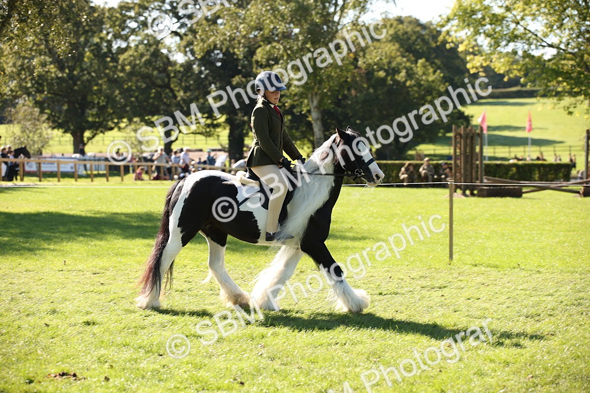 SBM_38967 - S11 - Best Ridden Horse & Pony