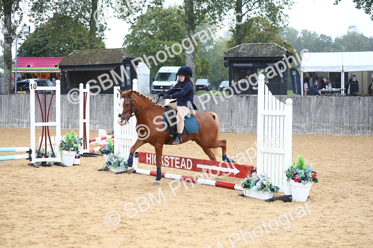 SBM_71669 - J4 - Mini Tour Junior Pony 45cm Championship