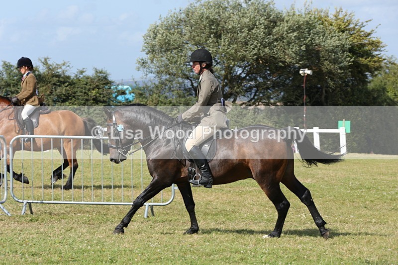 1X9A5887 - Class 41:. NPS New Forest & Connemara