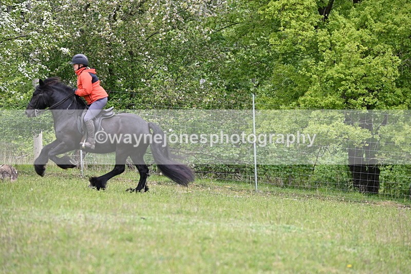 WJ6_1661 - Group 5 A&B Cameras