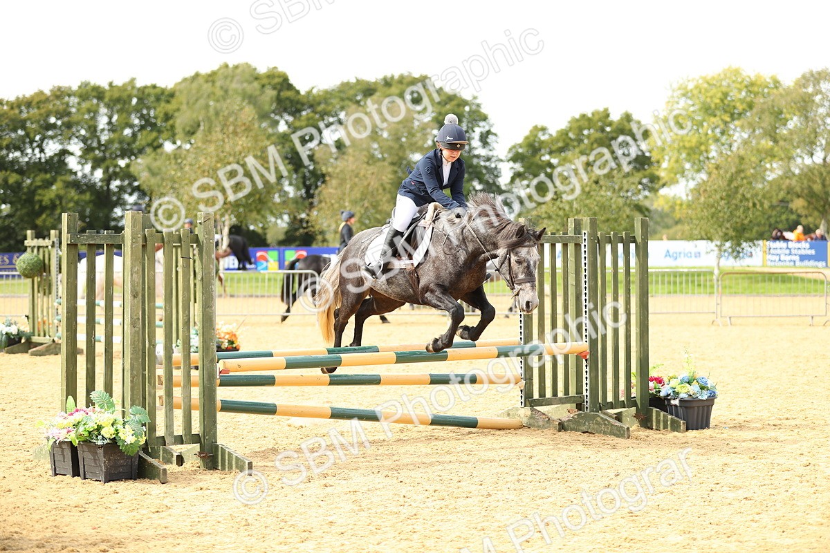 SBM_67180 - J17 - Junior Pony 80cm Championship