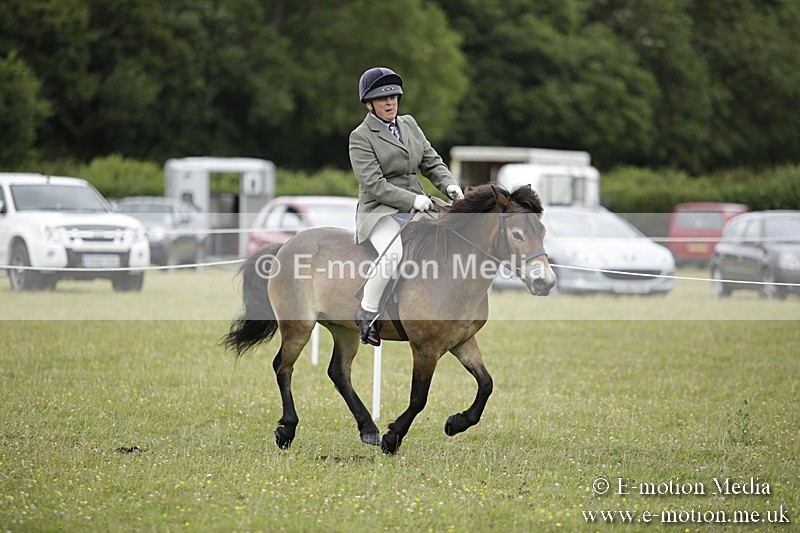 BVR160717-1314 - Ring 1 BVRC Show 16/07/17