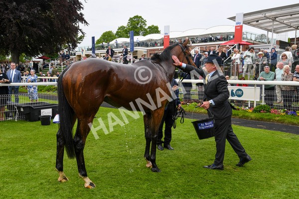 180523-Race 3-Croupier-0279 - Race 3 3.00pm Sky Bet Hambleton Handicap