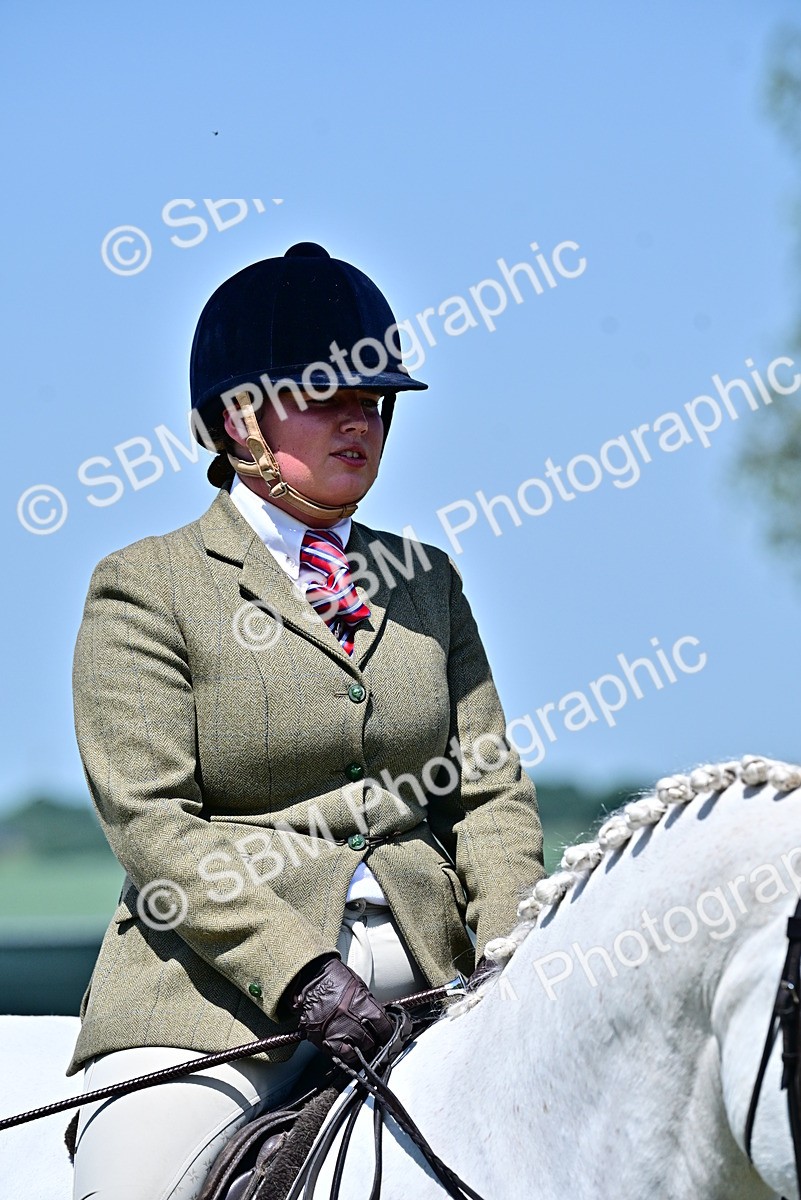 SBM_17480 - Class 95-97 - BSPS LHS Performance Ponies