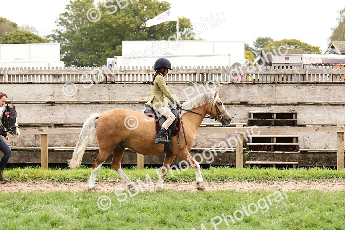 SBM_64366 - S58 - Coloured Pony Ridden