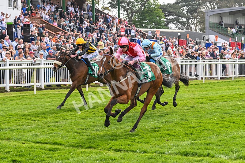 120425-Race 1-Polly Darling-0792 - Race 1