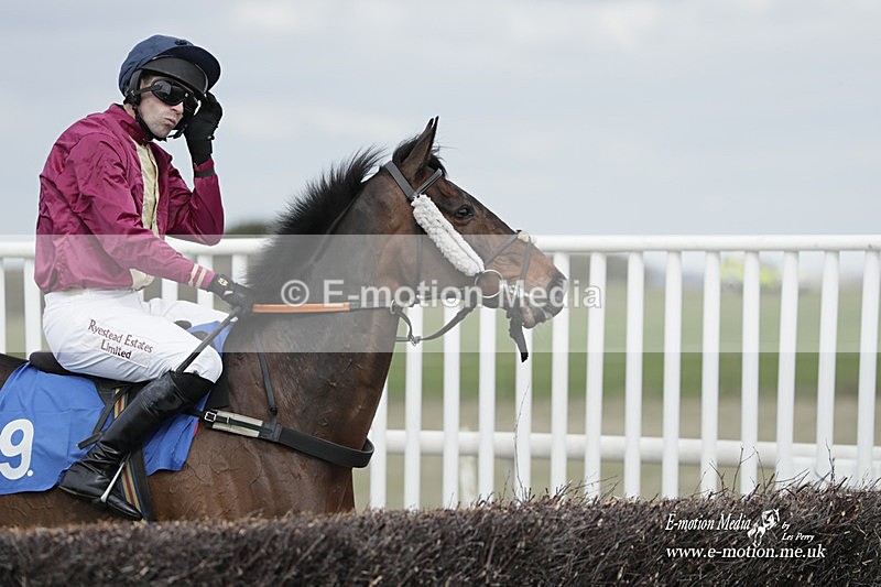 PtP 190323 308 - Oakley Hunt Point-to-Point Brafield-On-The-Green 19/03/23
