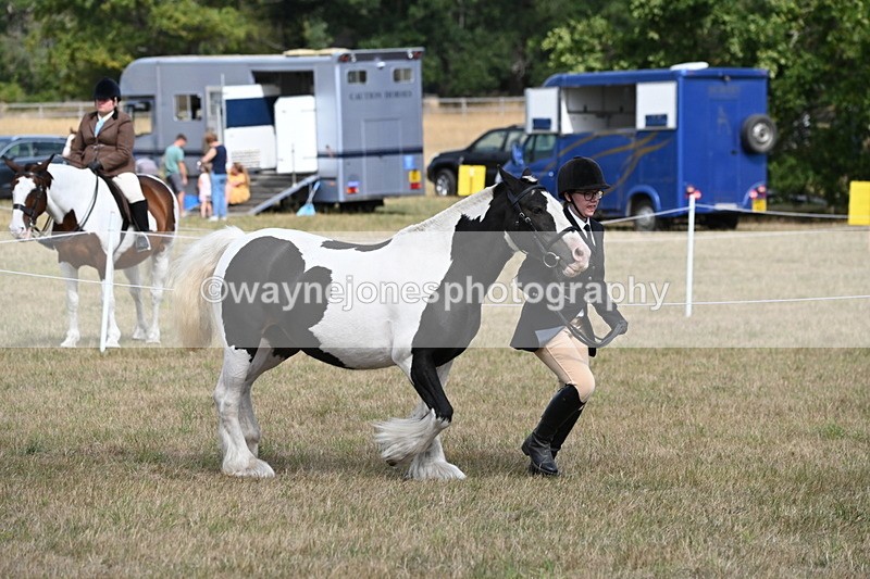 WJ6_6473 - Class 20 In-hand Cob