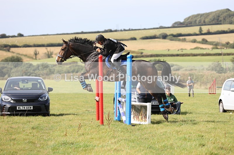 JPP_8815 - Class 2: Trekenning: 80cm Showjumping