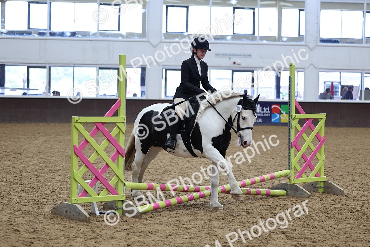 SBM_007034 - Class 1 - 40cm showjumping