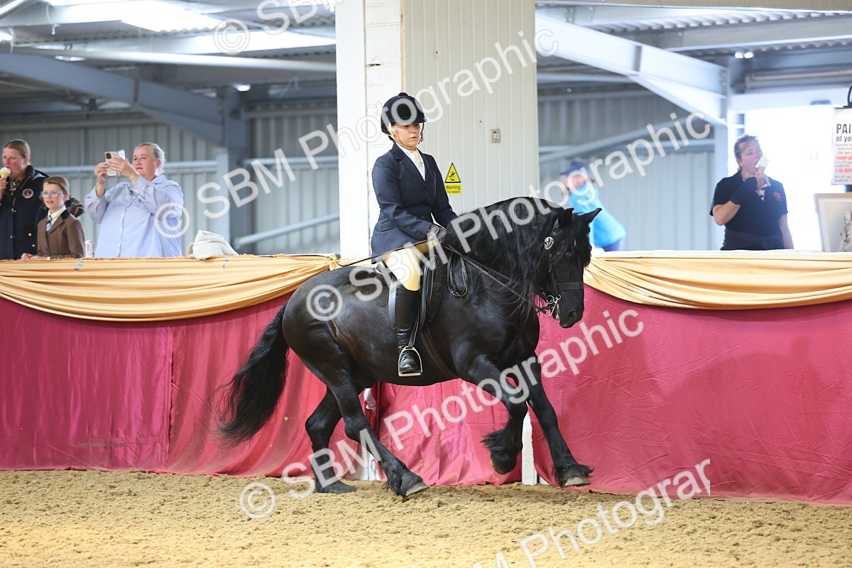 SBM_23900 - Class 905 - Supreme Final - Ridden Veteran