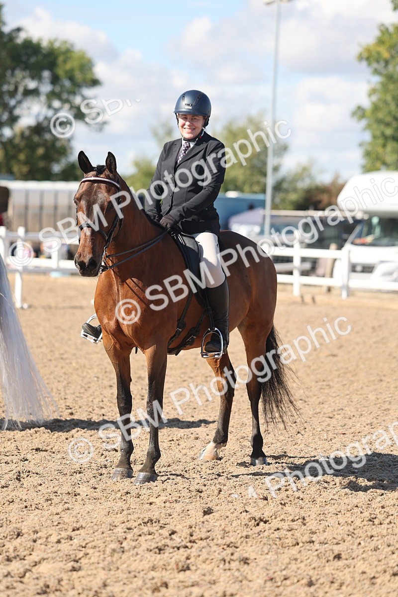 SBM_13074 - Class 305 - Ridden Foreign Breed Pure Bred