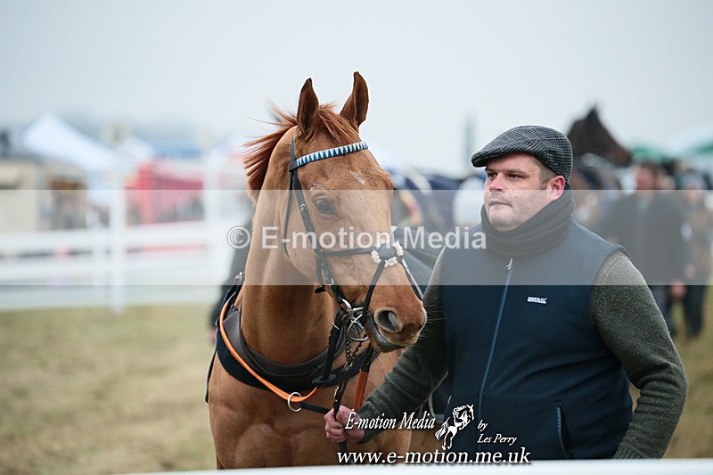 PtP 261123 39 - Hursley Hambledon Point-to-Point Larkhill 26 Nov 2023