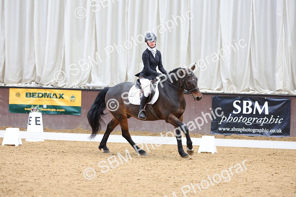 SBM_002728 - Novice