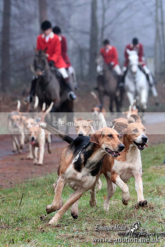 HUPY 261224 330a - Pytchley with Woodland Hunt Boxing Day Meet 26th December 2024