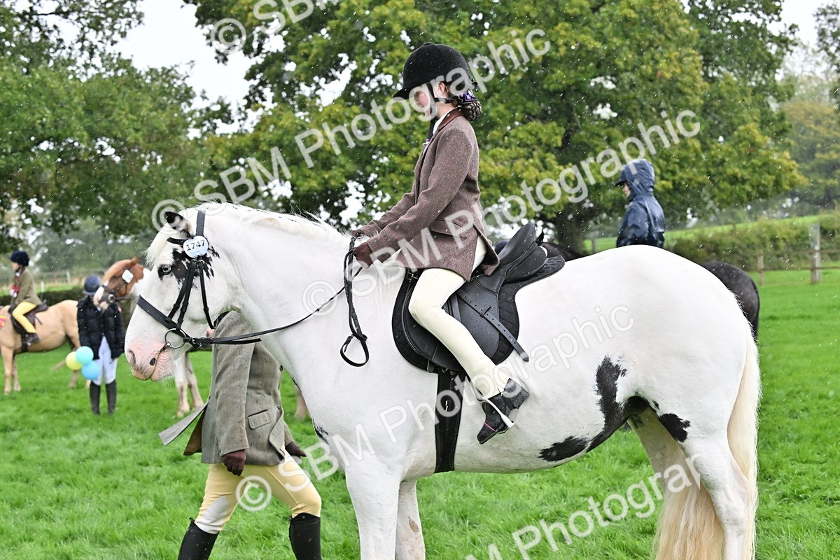 SBM_43021 - S12 - Family Horse & Pony