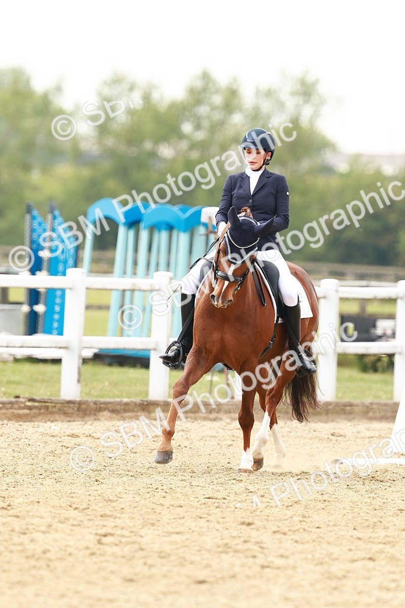 SBM_002748 - Class 12 - Medium 4