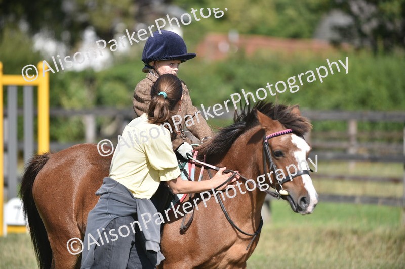 20260906-0993 - Class 7 - Absolute Novice Jumping 35cm