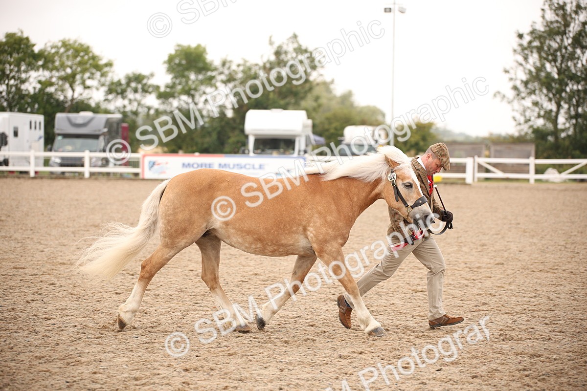 SBM_22183 - Class 707 - Ridden Groom-Helpers Class