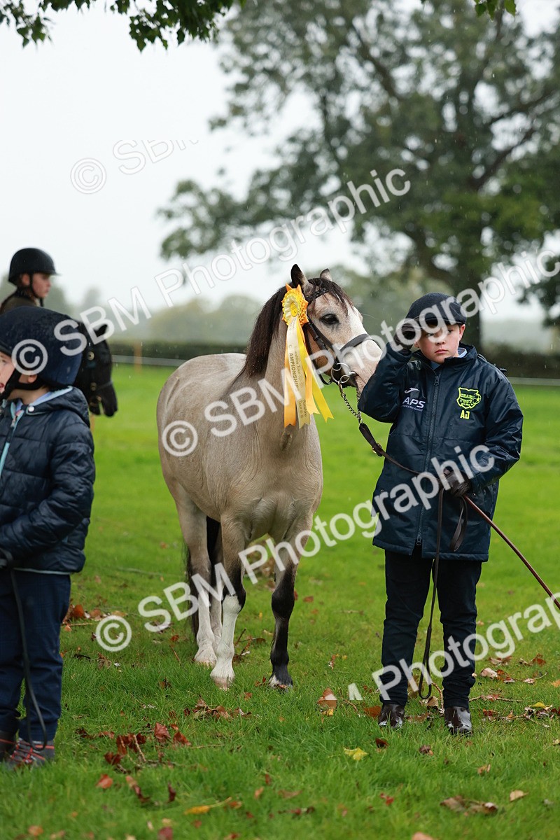 SBM_34941 - S10 - Best In Hand Horse & Pony