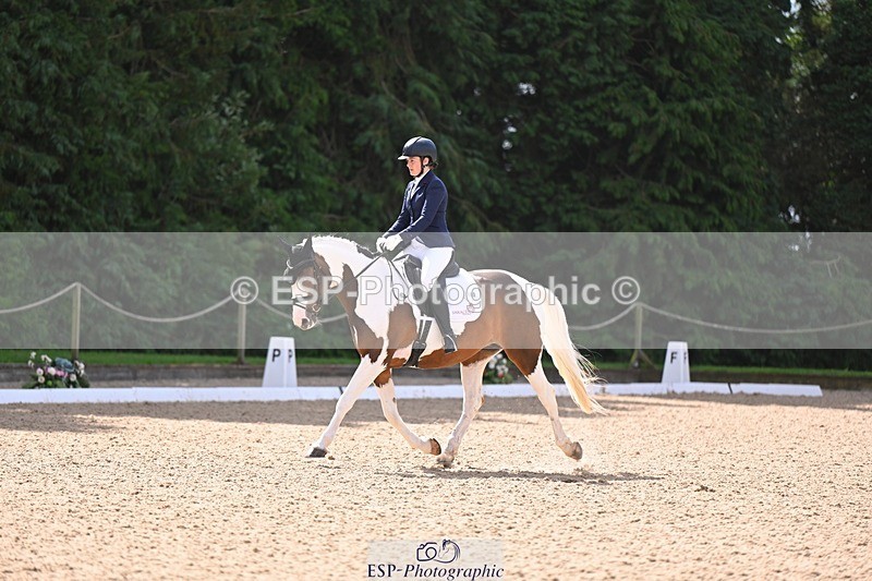 240809-103734-00343 - 160-Sian.Lowe-Pinecroft.Indigo