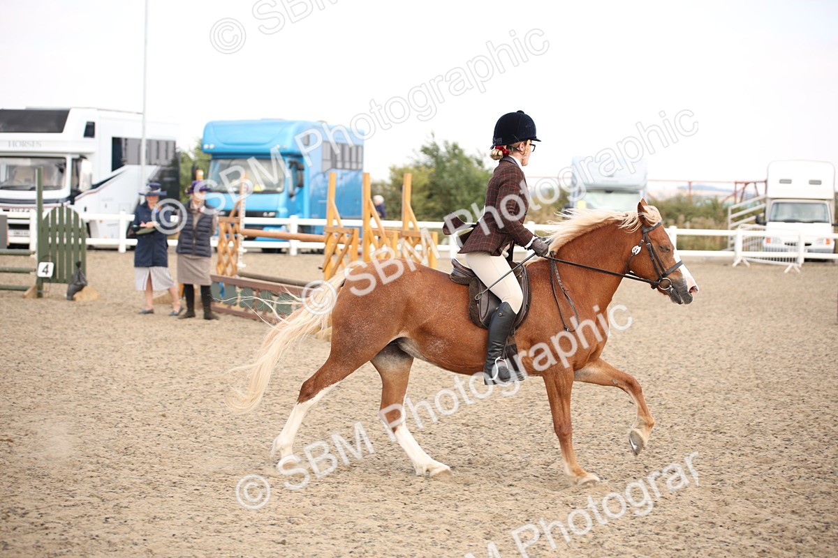 SBM_16030 - Class 408b - Working Veteran 70cm (20+)