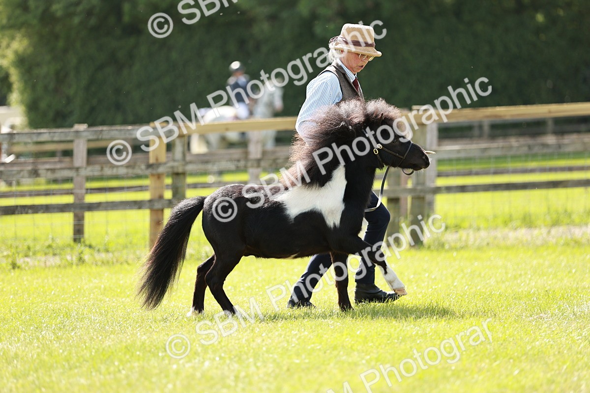 SBM_01895 - Class 14-23 - Mountain & Moorland In Hand Non Welsh
