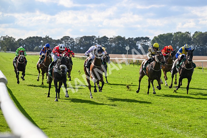 140926-Race 4-Lamlash Bay-7226 - Race 4 3.51pm Sapphire Selling Handicap