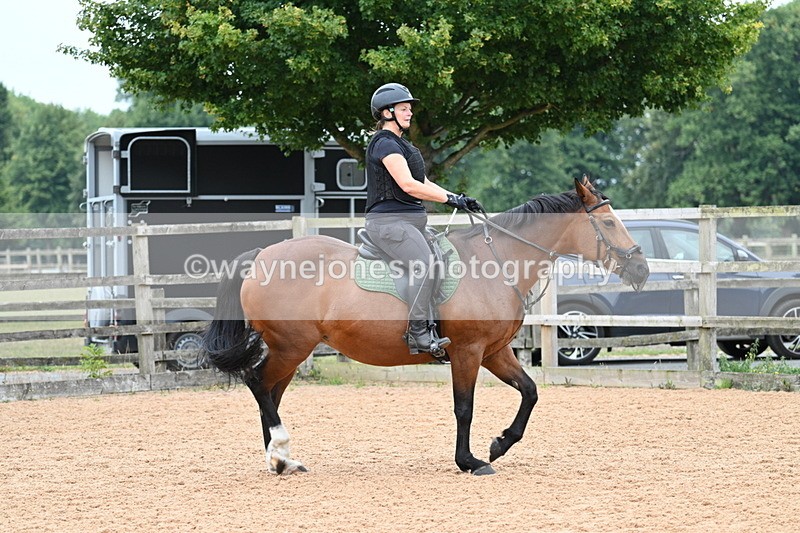 WJ7_8532 - Poles 11:00am