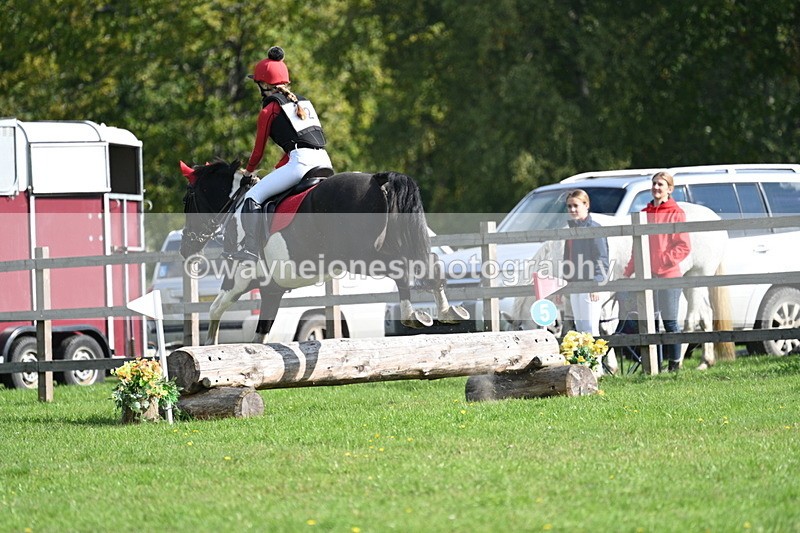 WJ7_4910 - 60cm Time 11:11 to 11:19