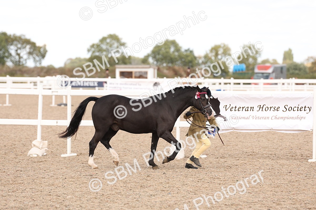 SBM_15151 - Class 209 - IH Veteran Pony