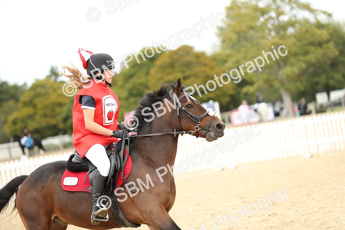 SBM_65837 - J48 - Pairs Jumping Open 70cm & 85cm