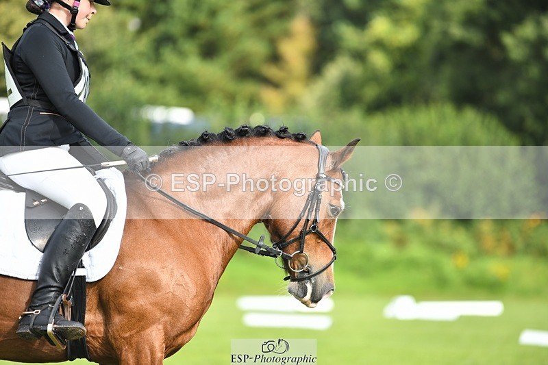 230826-094437-15219 - Sections C & D 9 to 10am