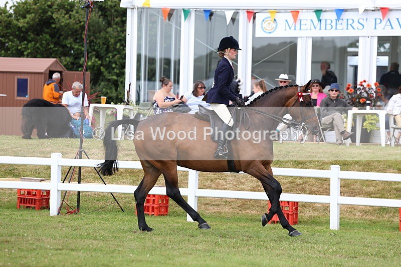 3E7A0540 - Rising Star Ridden Championship