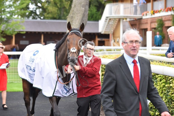 yr20082021r4-55 - Race 4 3.35pm Coolmore Wootton Bassett Nunthorpe Stakes (British Champions Series Race)