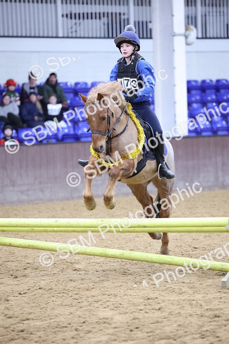 SBM_001079 - Class 3 - Christmas Tree Stakes - 60cm