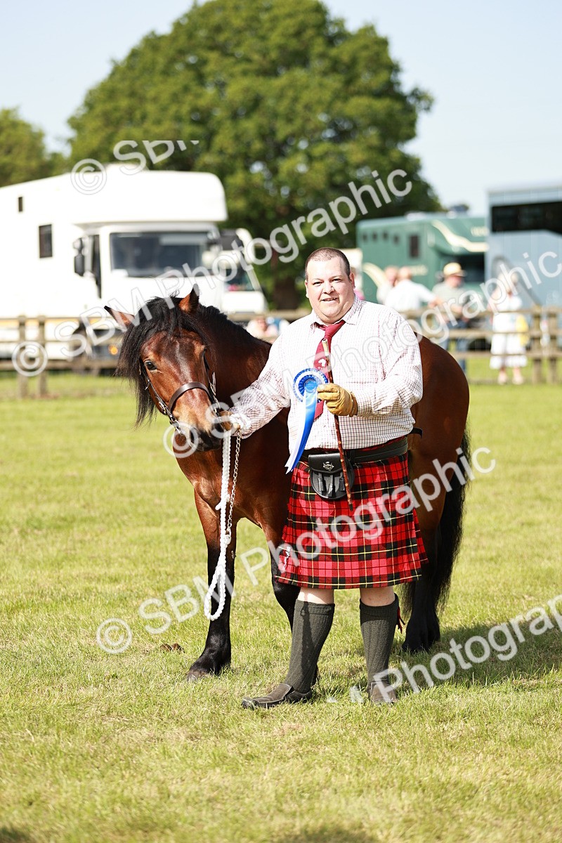 SBM_01607 - Class 14-23 - Mountain & Moorland In Hand Non Welsh