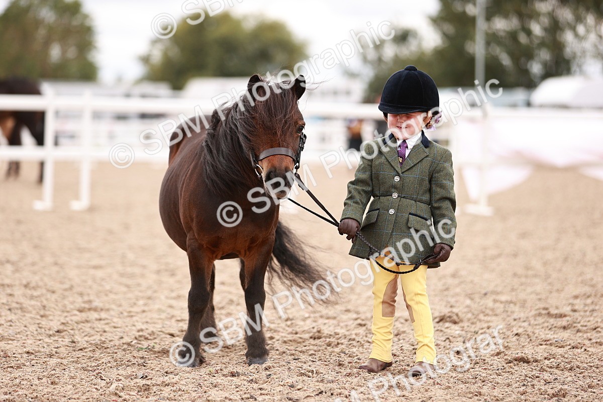 SBM_18575 - Class 421 - Childs Best Friend - Jnr