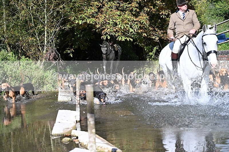 WJ7_5946 - Hounds Water Crossing